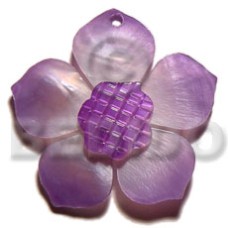 Graduated lavender 30mm hammershell flower Graduated lavender 30mm hammershell flower