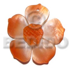 Graduated orange 25mm hammershell flower Graduated orange 25mm hammershell flower