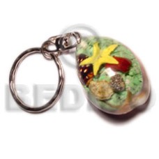 Sigay laminated seahells Sigay laminated seahells