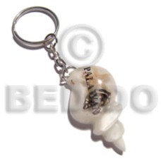 45mmx28mm white seashell resin