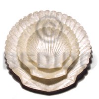 Capiz king scallop shell