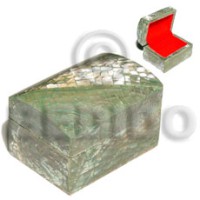 Paua"abalone" shell cracking wood casing