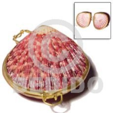 Piktin shell coin purse Piktin shell coin purse