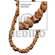 Chocolate orchids shell
