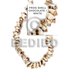 Frog shell chocolate white Frog shell chocolate white