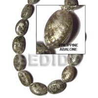 Philippine abalone