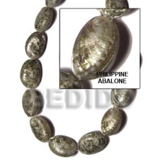 Philippine abalone Philippine abalone