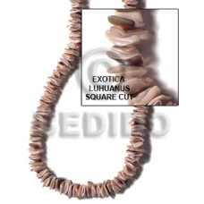 Exotica luhuanus square cut