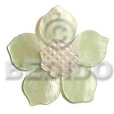 45mm light green hammershell flower 45mm light green hammershell flower
