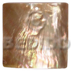 40mm square brownlip 40mm square brownlip